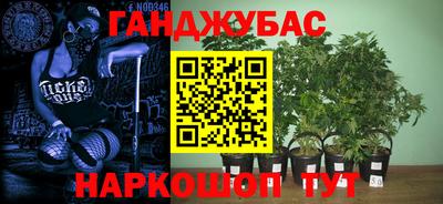 гидропоника Лесной